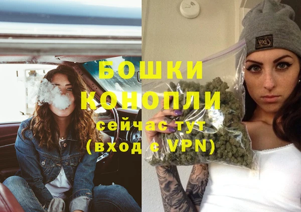 дживик Весьегонск