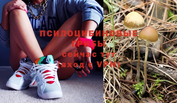 индика Бутурлиновка