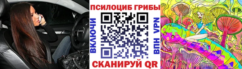 закладки  ссылка на мегу   Псилоцибиновые грибы прущие грибы  Алапаевск 