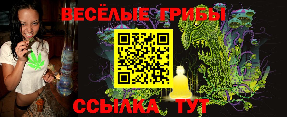 Псилоцибиновые грибы прущие грибы  Вход с VPN  Алапаевск  закладки  Галлюциногенные грибы Psilocybine cubensis 