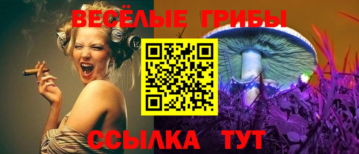 Галлюциногенные грибы Cubensis Алапаевск